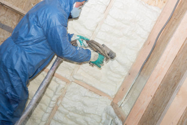 Best Insulation for New Construction  in Senoia, GA